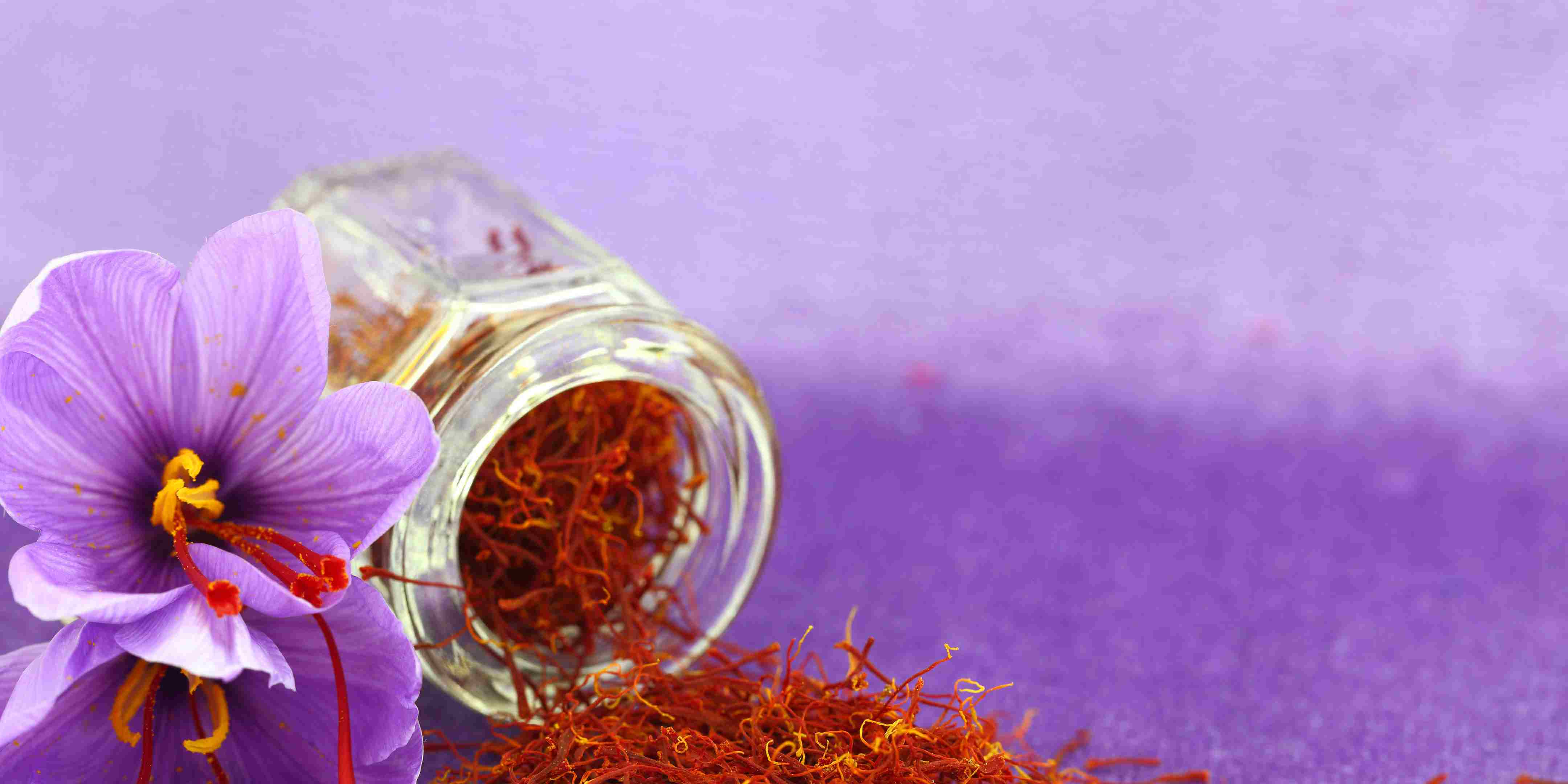 Mengenal Saffron: Si Rempah Mahal dengan Segudang Manfaat