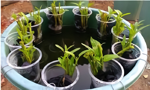 1.800 Atlet ikuti KlikDokter Run Fest 2022 , Gelorakan Semangat #JagaSehatmu Sambil Wisata