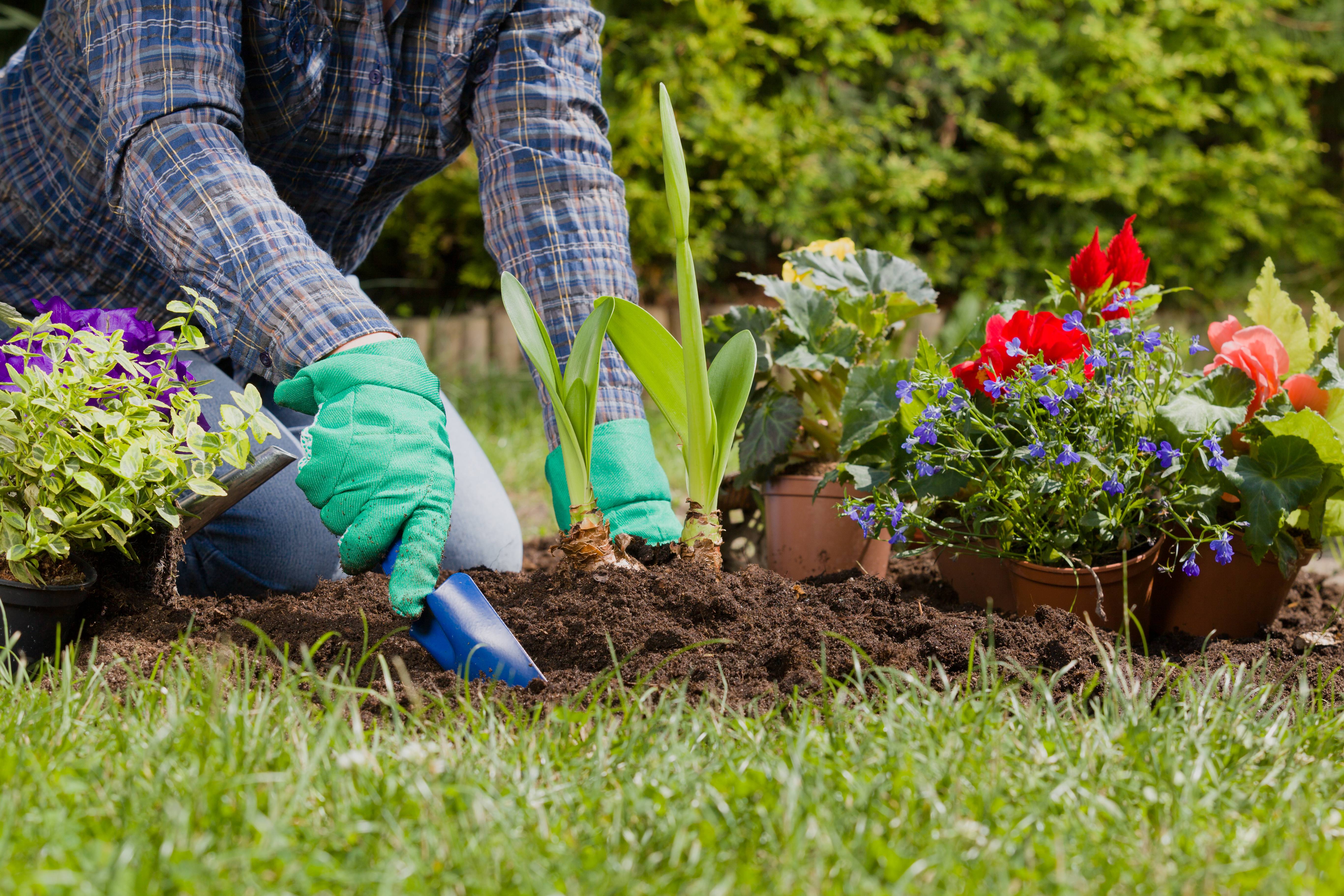 1.800 Atlet ikuti KlikDokter Run Fest 2022 , Gelorakan Semangat #JagaSehatmu Sambil Wisata