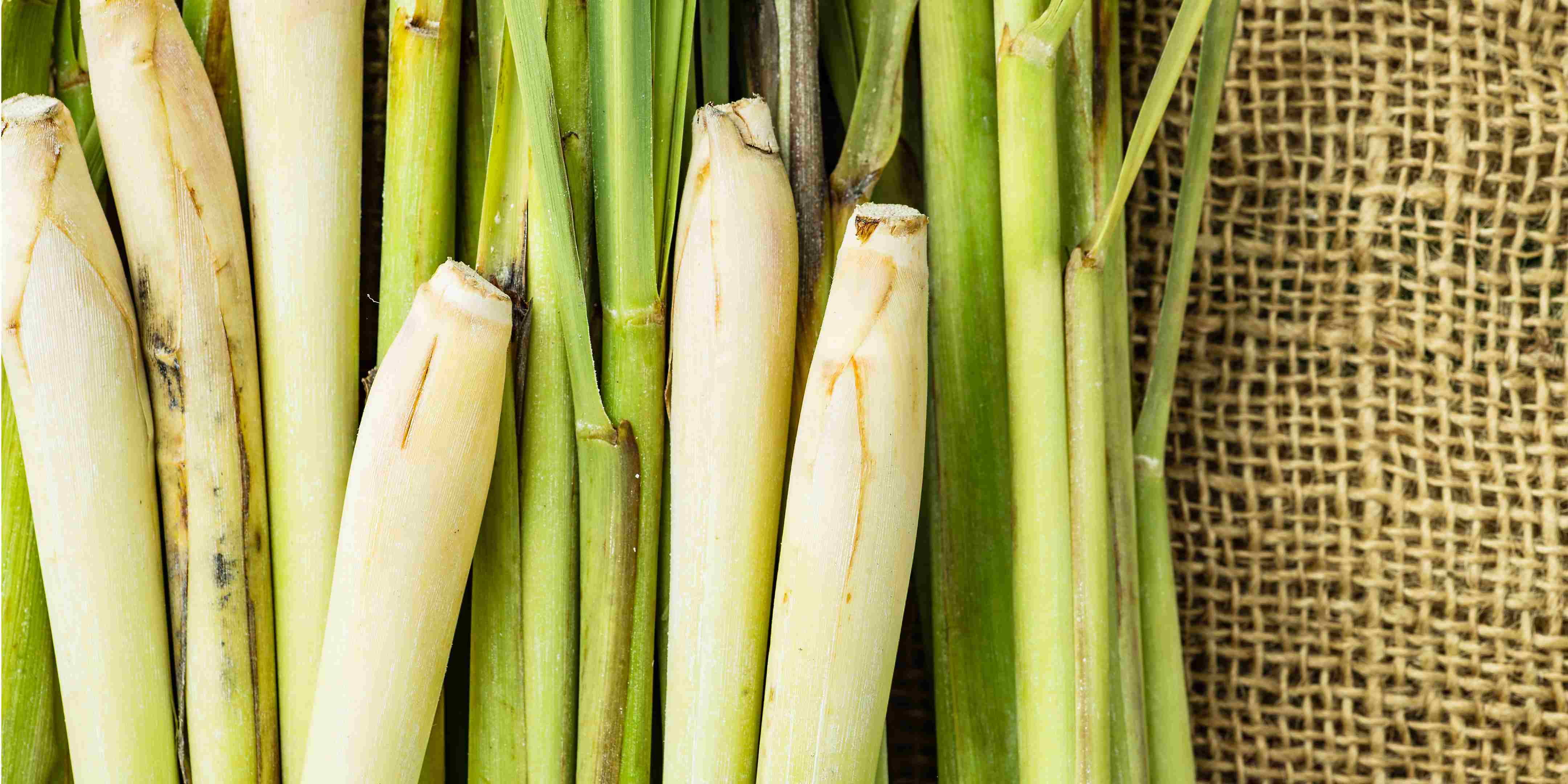 1.800 Atlet ikuti KlikDokter Run Fest 2022 , Gelorakan Semangat #JagaSehatmu Sambil Wisata