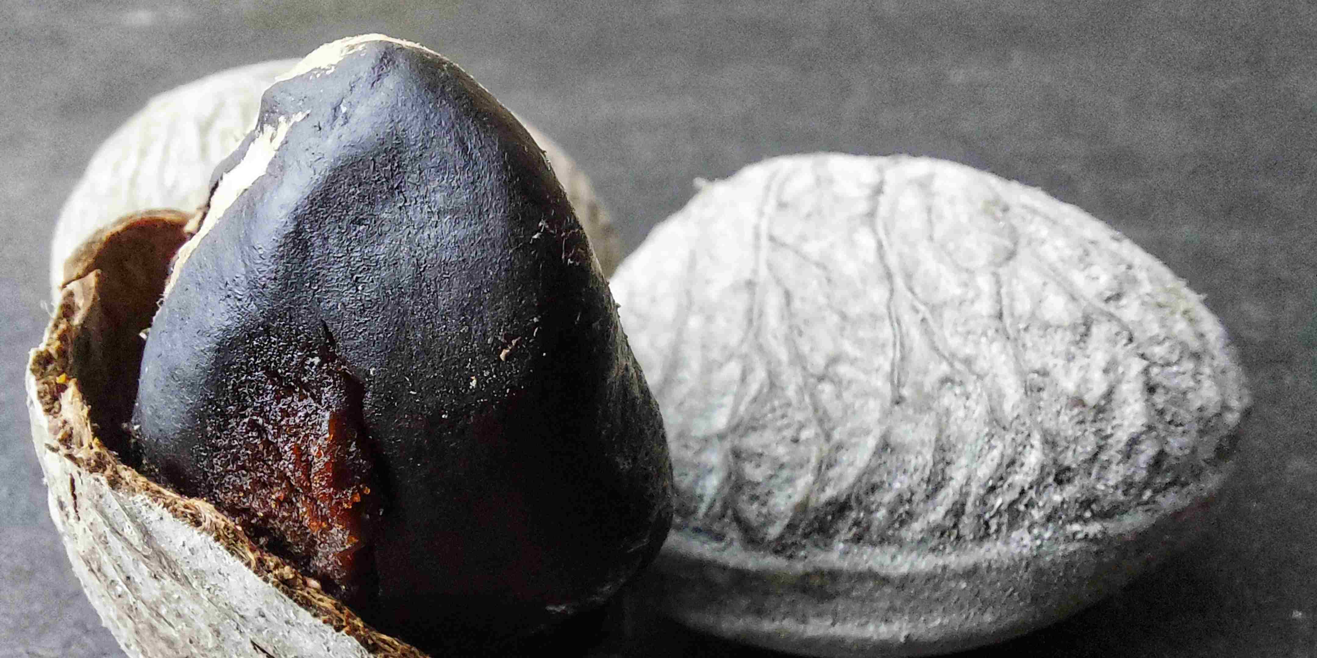 Buah Keluwek: Si Hitam Beracun yang Jadi Rahasia Lezatnya Masakan Nusantara