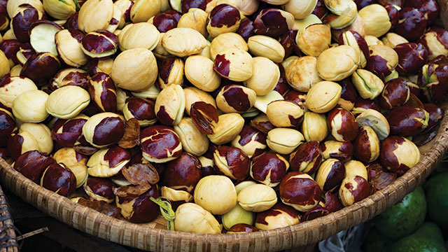 1.800 Atlet ikuti KlikDokter Run Fest 2022 , Gelorakan Semangat #JagaSehatmu Sambil Wisata