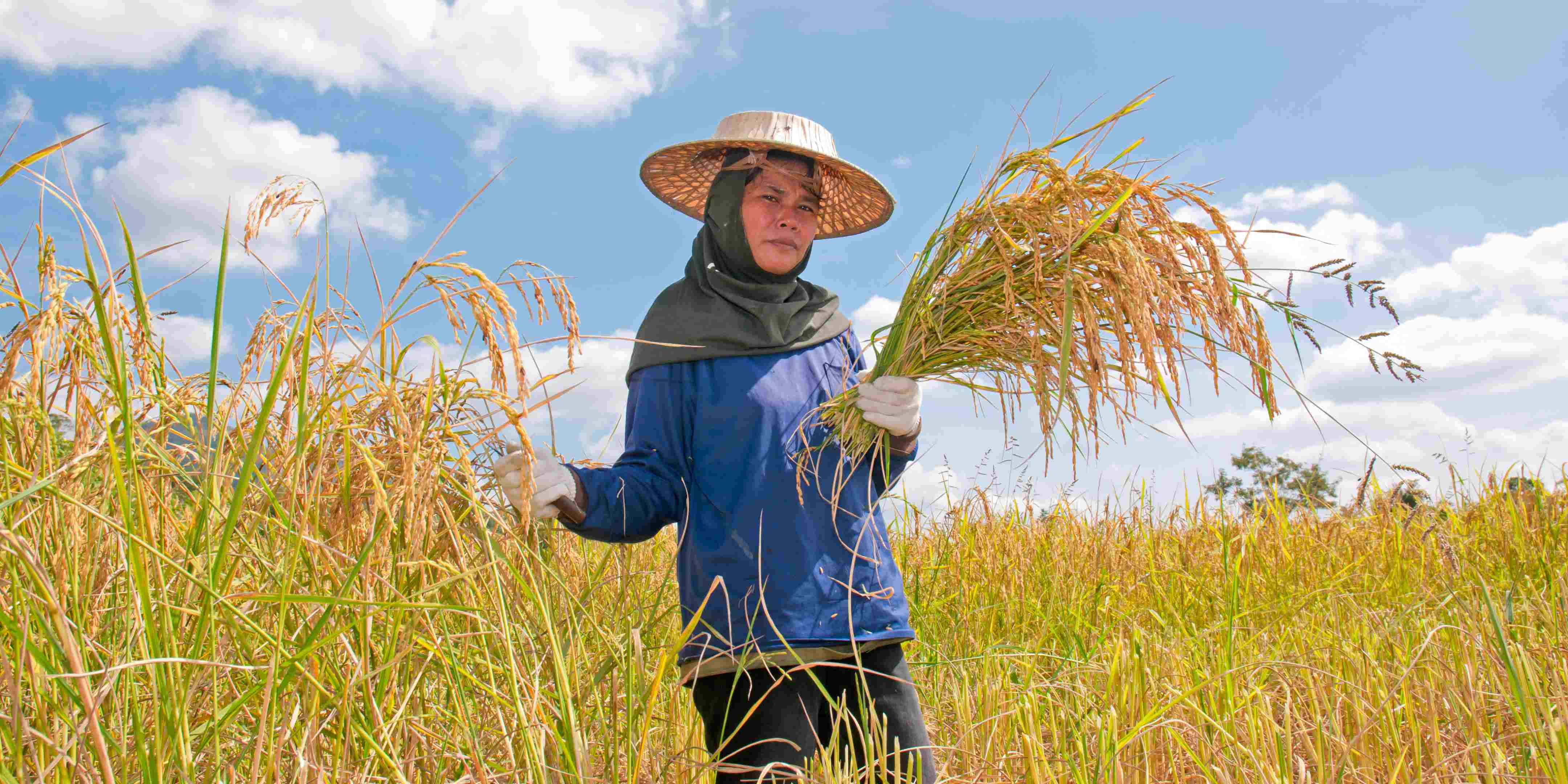 Ini Alasan Kenapa Anak Muda Males Jadi Petani?