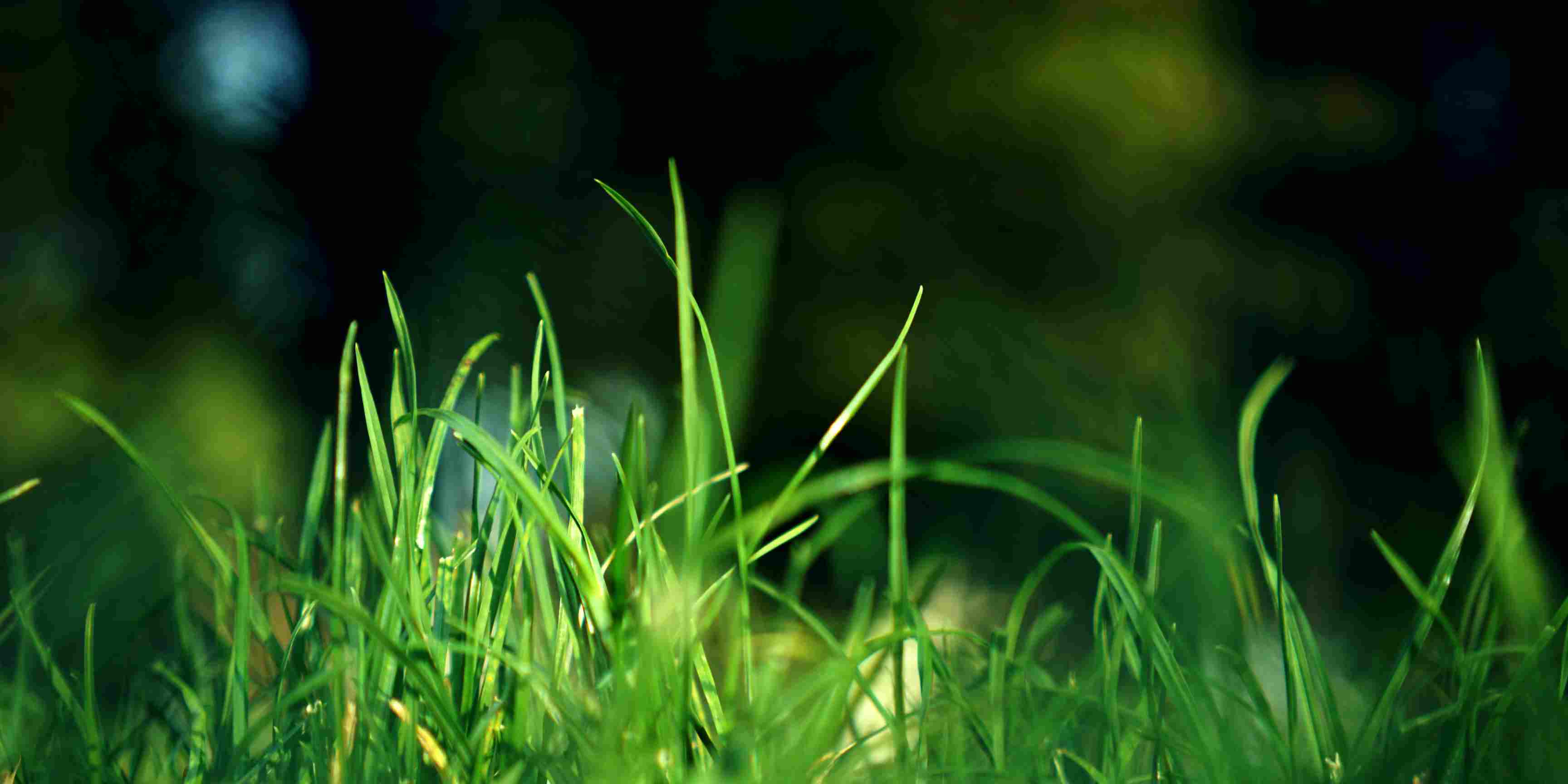 1.800 Atlet ikuti KlikDokter Run Fest 2022 , Gelorakan Semangat #JagaSehatmu Sambil Wisata