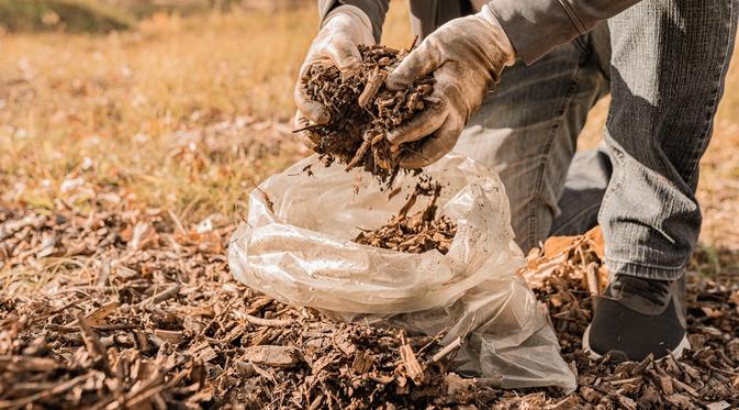 Mulsa Organik, Solusi Atasi Kekeringan Pada Media Tanaman