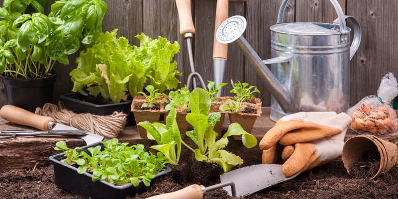 1.800 Atlet ikuti KlikDokter Run Fest 2022 , Gelorakan Semangat #JagaSehatmu Sambil Wisata