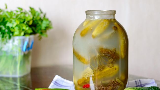 Manfaat Eco Enzyme dan Cara Pembuatannya, Cairan Organik yang Multifungsi