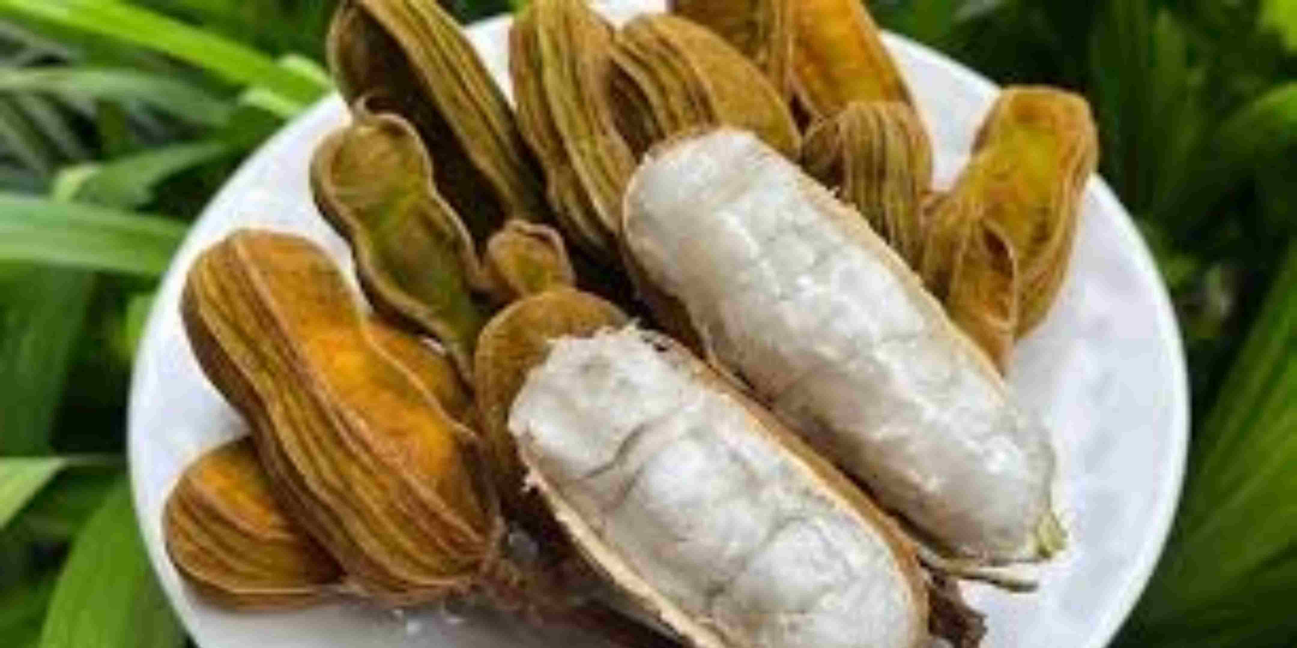 Mengenal Buah Salju: Buah Eksotis yang Mulai Populer di Bali dan Sekitarnya