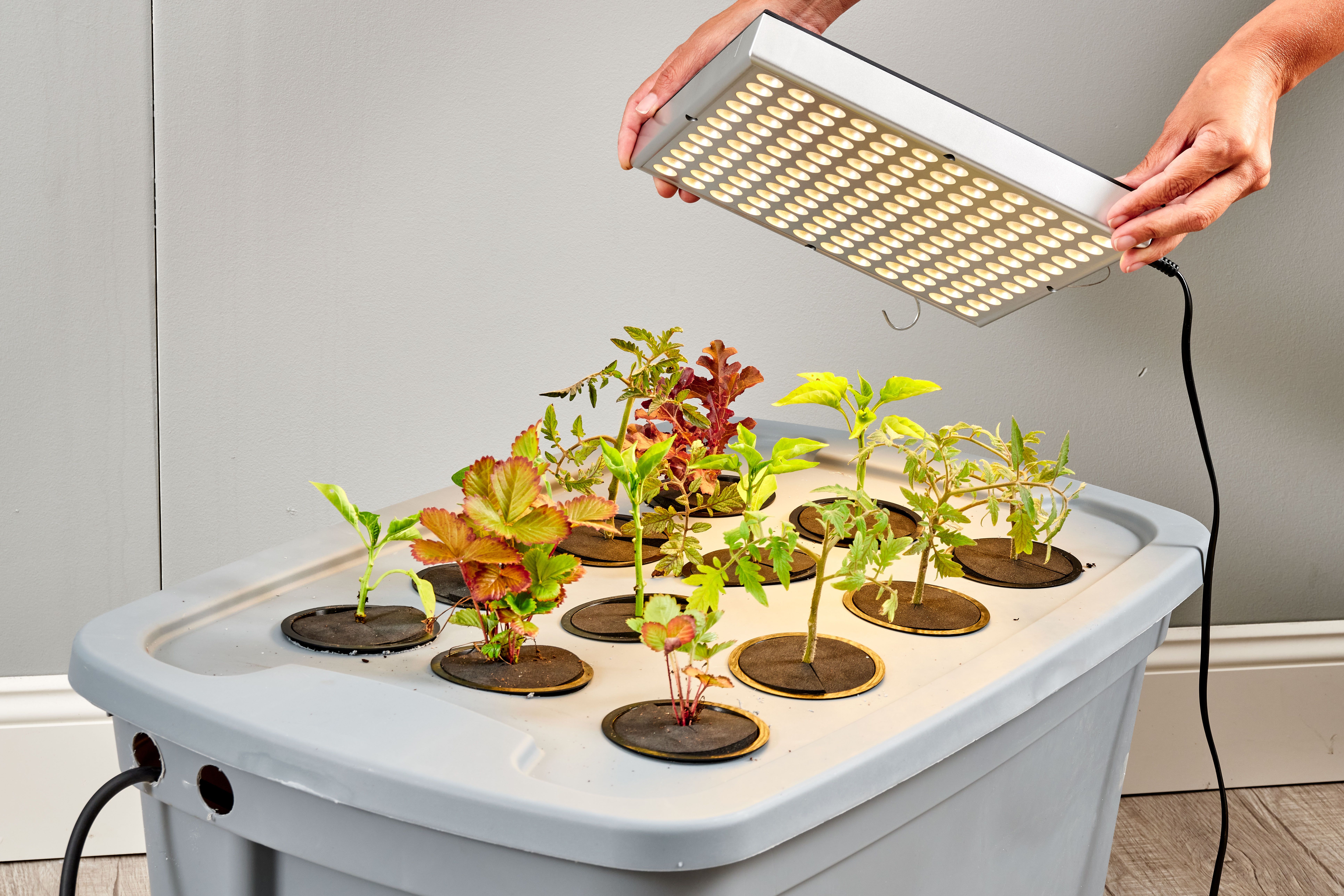 1.800 Atlet ikuti KlikDokter Run Fest 2022 , Gelorakan Semangat #JagaSehatmu Sambil Wisata