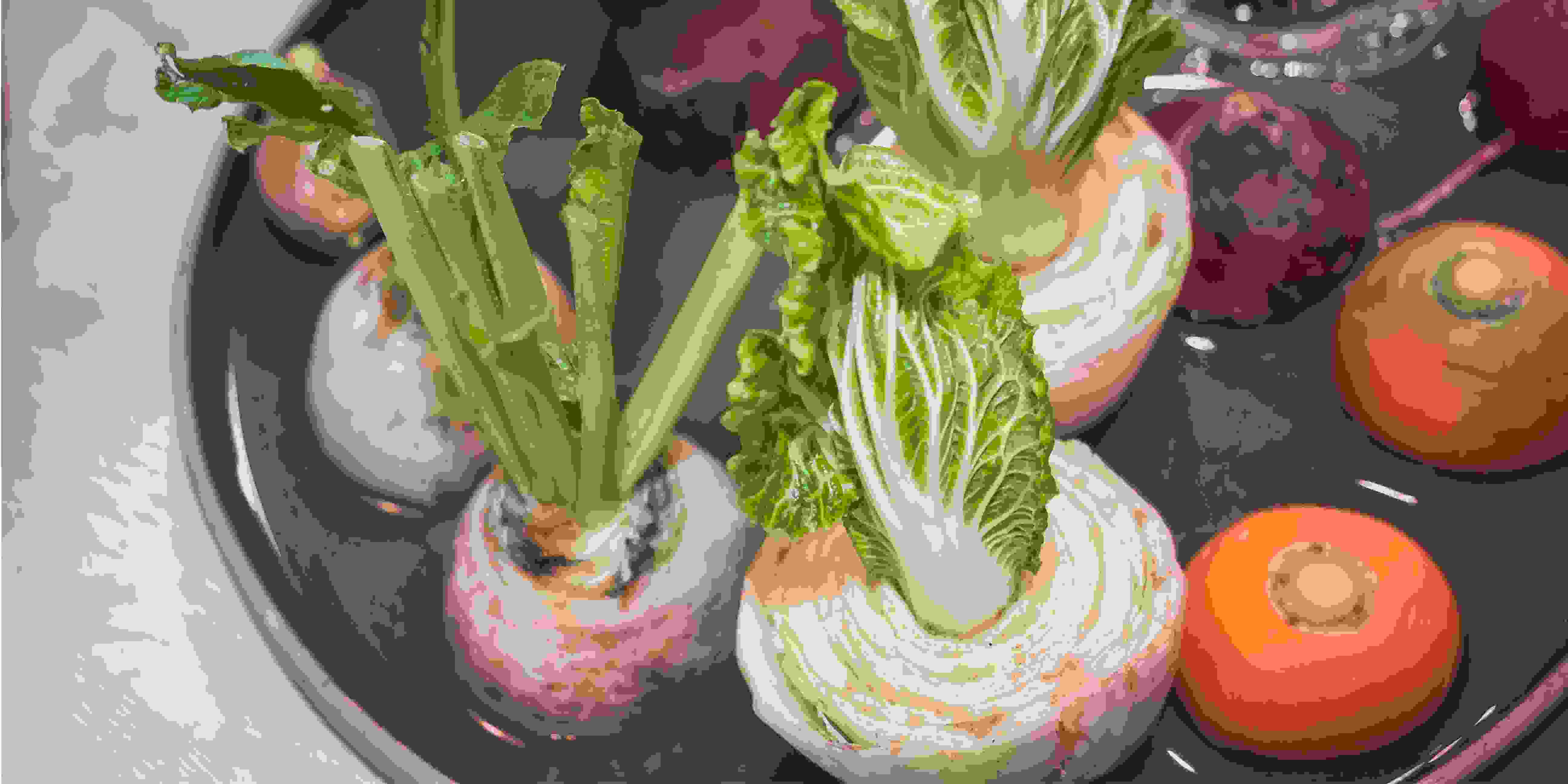 Cara Mudah menanam Sayuran dari Sisa Dapur dan Keuntungannya