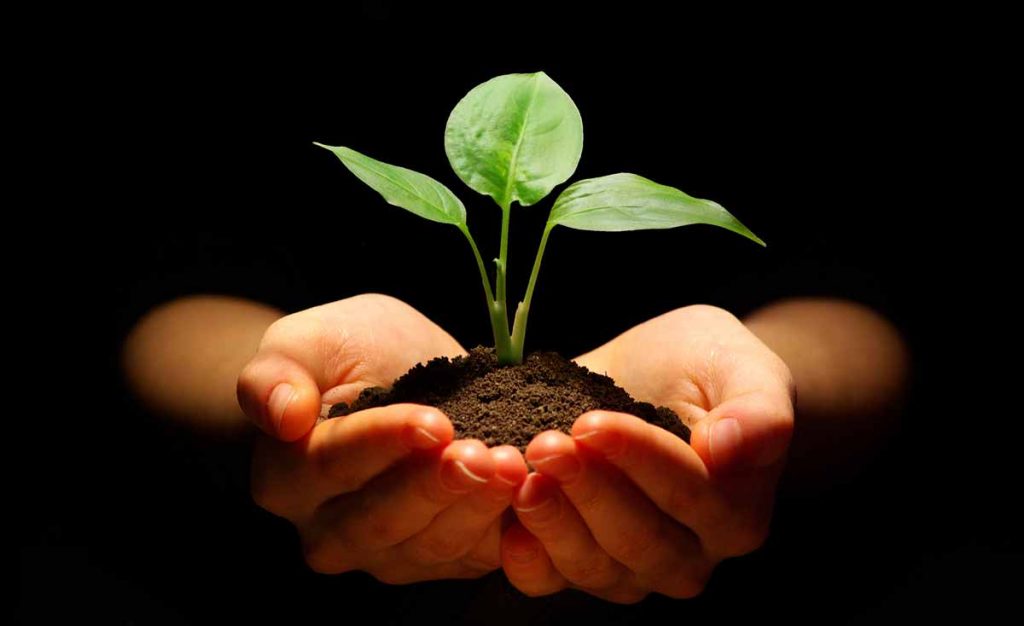 1.800 Atlet ikuti KlikDokter Run Fest 2022 , Gelorakan Semangat #JagaSehatmu Sambil Wisata