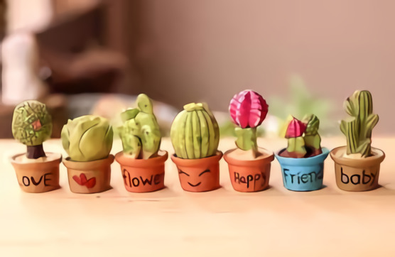 Aliran Cuan Dari Tanaman Hias Kaktus