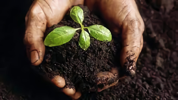 1.800 Atlet ikuti KlikDokter Run Fest 2022 , Gelorakan Semangat #JagaSehatmu Sambil Wisata