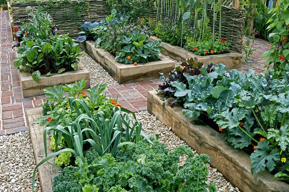 1.800 Atlet ikuti KlikDokter Run Fest 2022 , Gelorakan Semangat #JagaSehatmu Sambil Wisata