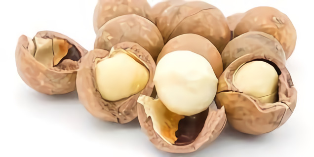 Manfaat Menakjubkan Kacang Macadamia