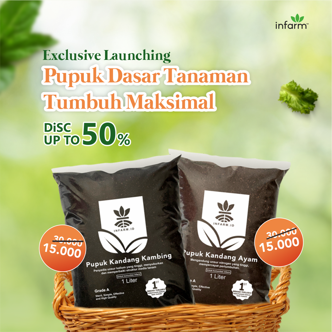 Hebohh!!! Yang ditunggu tunggu akhirnya datang jugaa!! 
Kalau mau tanamanya tumbuh subur, Wajib banget masukin pupuk dasar di media tanam. Efeknya produktivitas tanaman bakal tinngi. Yuk buruan kasih treatment ini.